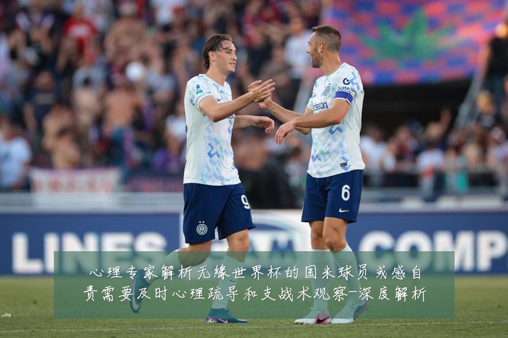 心理专家解析无缘世界杯的国米球员或感自责需要及时心理疏导和支战术观察-深度解析